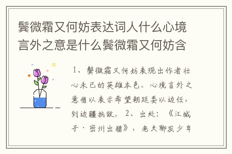 鬓微霜又何妨表达词人什么心境言外之意是什么鬓微霜又何妨含义