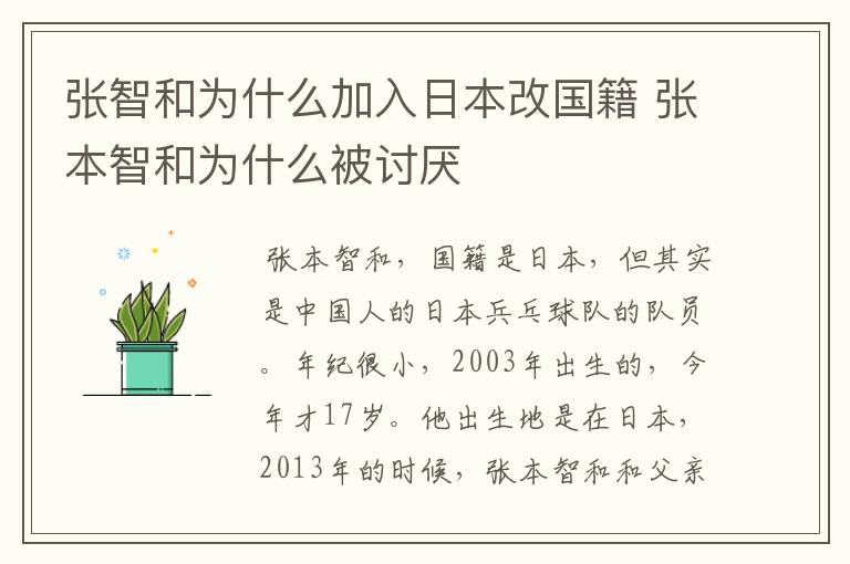 张智和为什么加入日本改国籍 张本智和为什么被讨厌