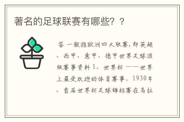 著名的足球联赛有哪些？?