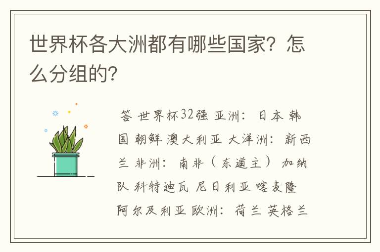 世界杯各大洲都有哪些国家？怎么分组的？