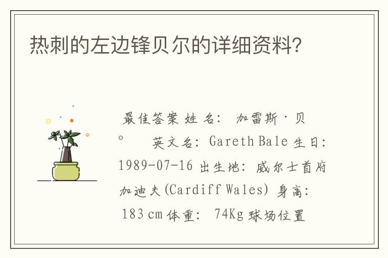 热刺的左边锋贝尔的详细资料？