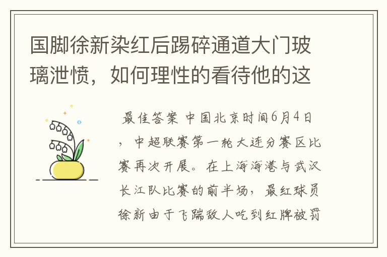 国脚徐新染红后踢碎通道大门玻璃泄愤，如何理性的看待他的这番举动？