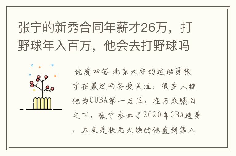 张宁的新秀合同年薪才26万，打野球年入百万，他会去打野球吗？