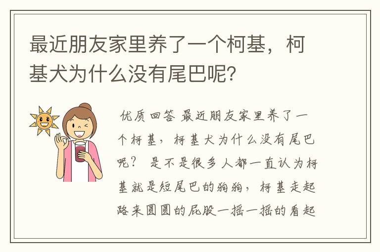 最近朋友家里养了一个柯基，柯基犬为什么没有尾巴呢？