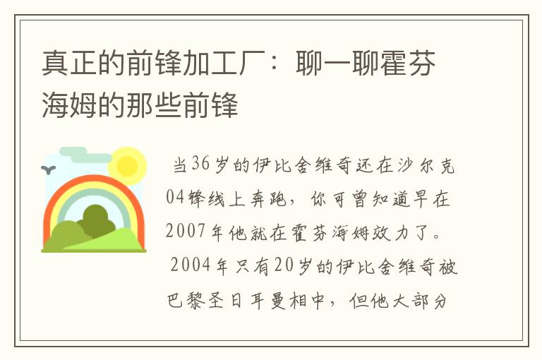 真正的前锋加工厂：聊一聊霍芬海姆的那些前锋