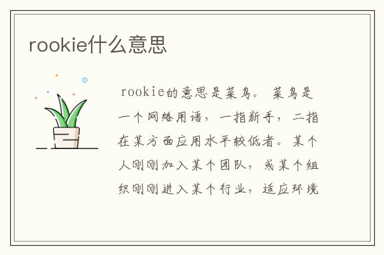 rookie什么意思