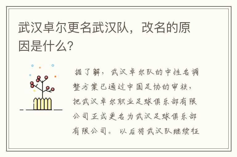 武汉卓尔更名武汉队，改名的原因是什么？