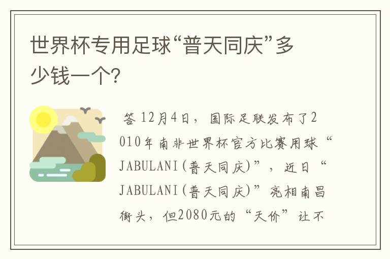 世界杯专用足球“普天同庆”多少钱一个？