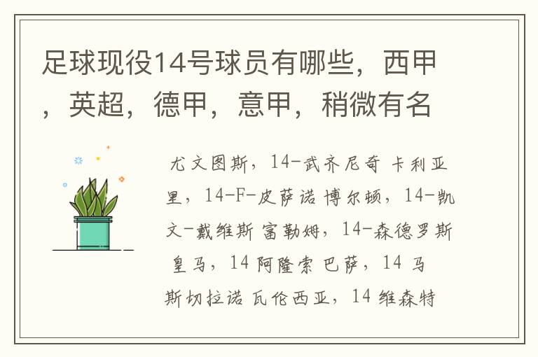 足球现役14号球员有哪些，西甲，英超，德甲，意甲，稍微有名气点的。 除了沃尔科特，埃尔南德斯，莫得里奇