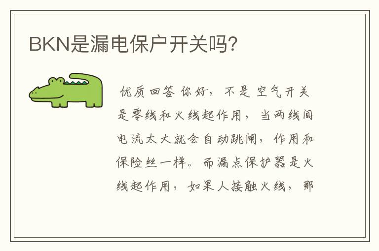 BKN是漏电保户开关吗？