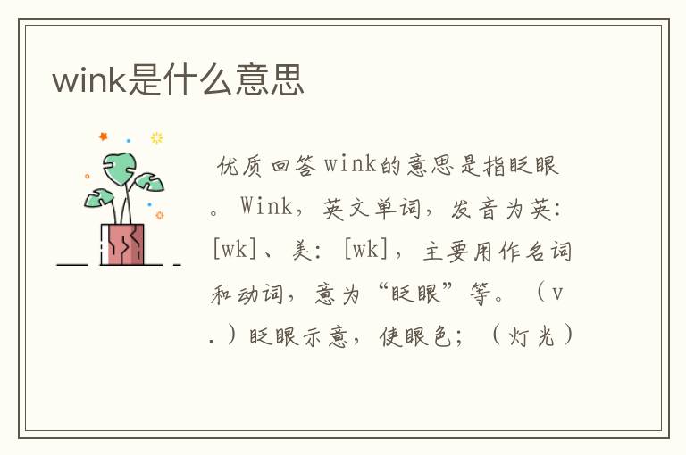 wink是什么意思