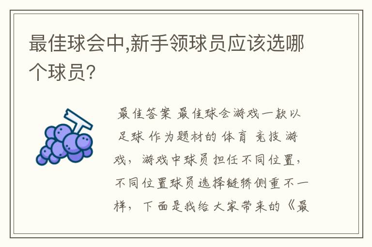 最佳球会中,新手领球员应该选哪个球员？