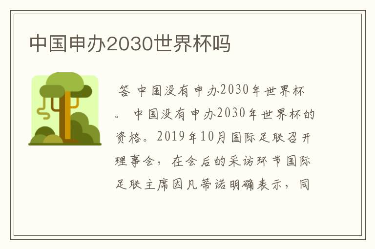 中国申办2030世界杯吗