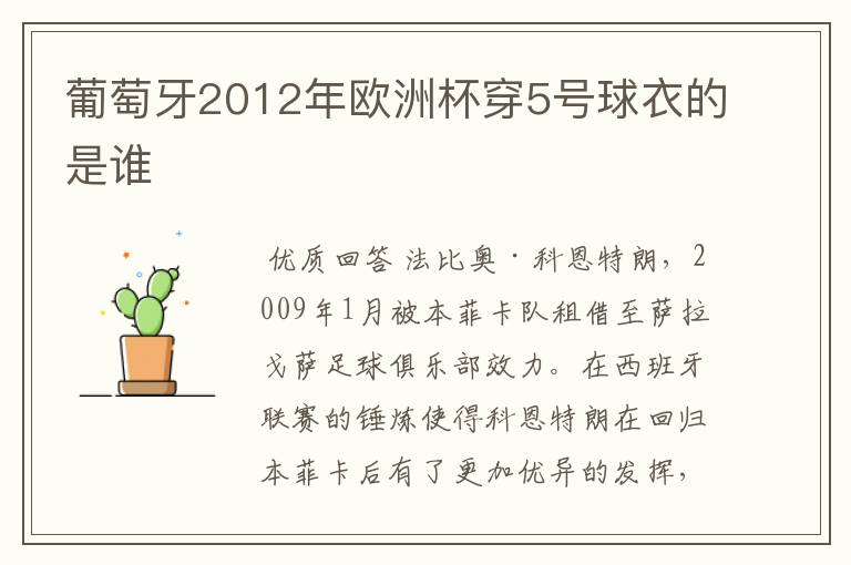 葡萄牙2012年欧洲杯穿5号球衣的是谁