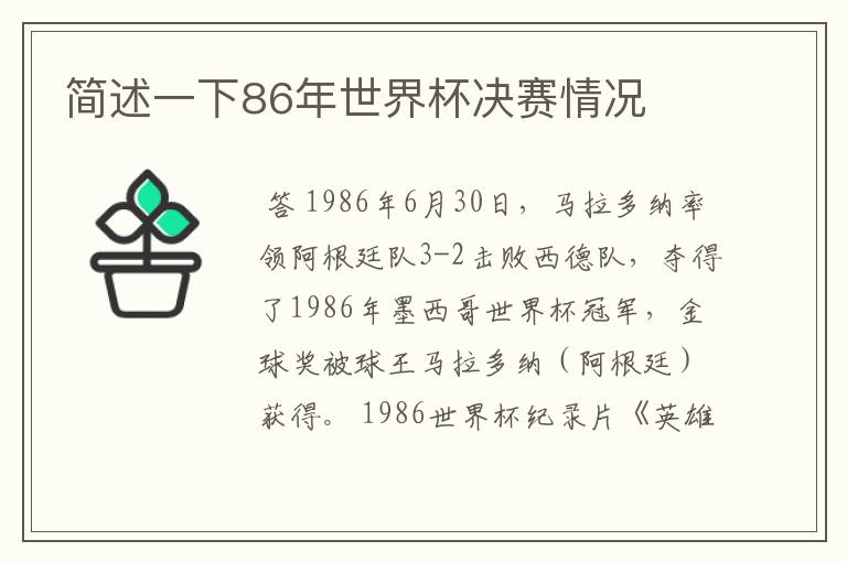 简述一下86年世界杯决赛情况