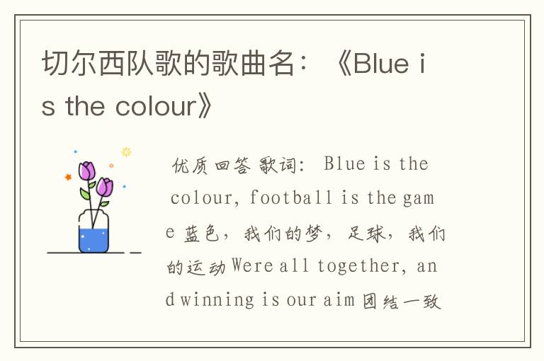 切尔西队歌的歌曲名：《Blue is the colour》