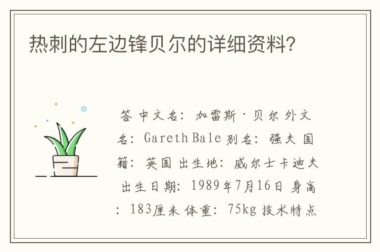 热刺的左边锋贝尔的详细资料？