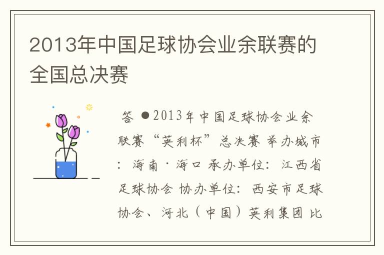 2013年中国足球协会业余联赛的全国总决赛