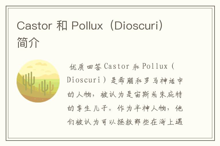 Castor 和 Pollux（Dioscuri）简介