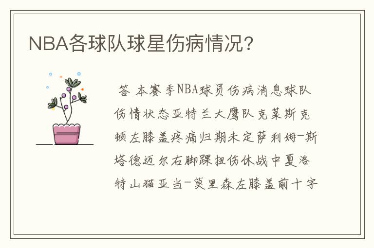 NBA各球队球星伤病情况?