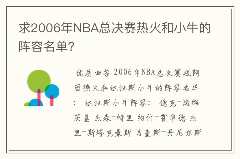 求2006年NBA总决赛热火和小牛的阵容名单？