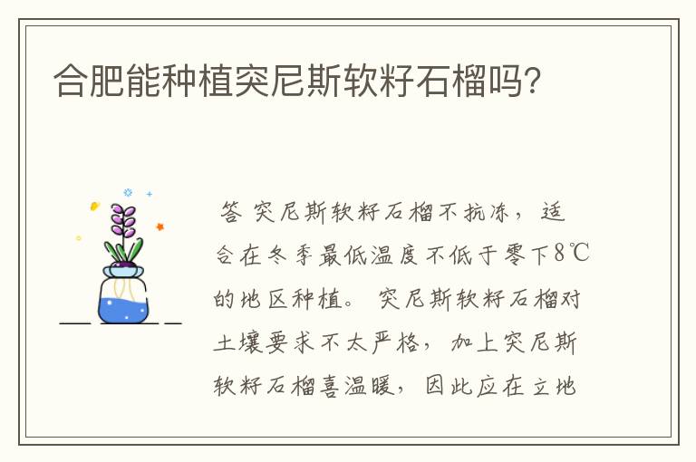 合肥能种植突尼斯软籽石榴吗？