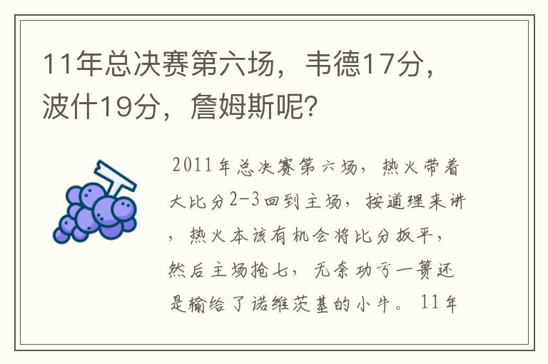 11年总决赛第六场，韦德17分，波什19分，詹姆斯呢？