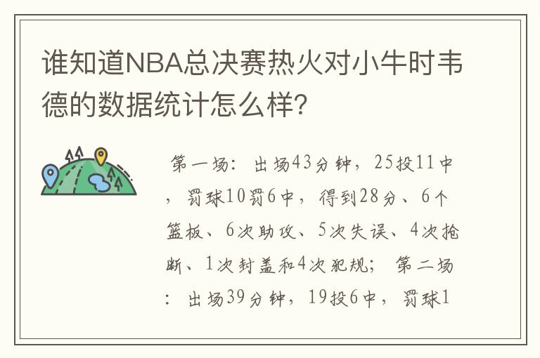 谁知道NBA总决赛热火对小牛时韦德的数据统计怎么样？