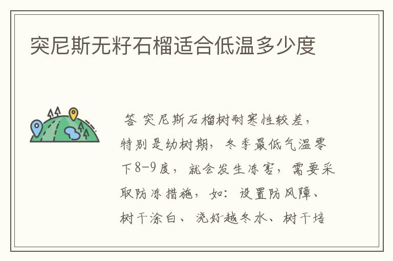 突尼斯无籽石榴适合低温多少度