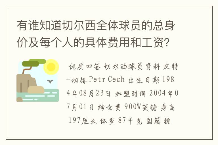 有谁知道切尔西全体球员的总身价及每个人的具体费用和工资？