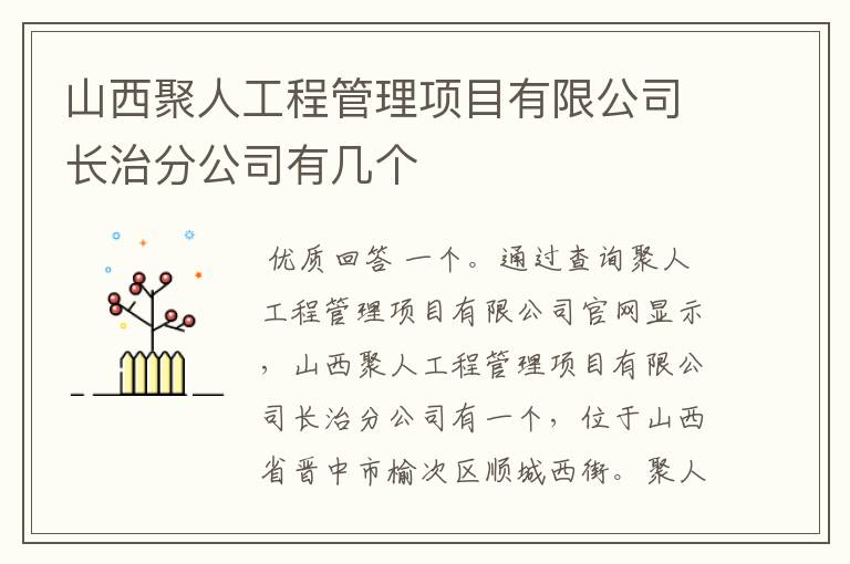 山西聚人工程管理项目有限公司长治分公司有几个