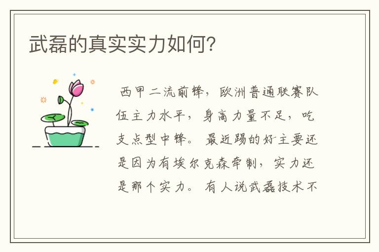 「武磊西甲中超对比分析」武磊西甲水平