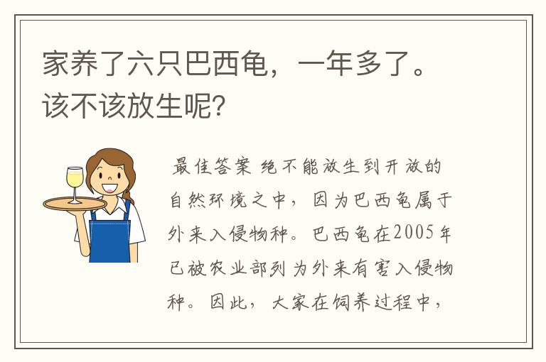 家养了六只巴西龟，一年多了。该不该放生呢？