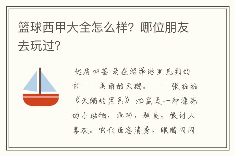 篮球西甲大全怎么样？哪位朋友去玩过？