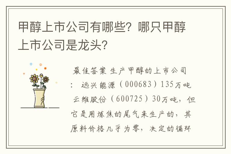 甲醇上市公司有哪些？哪只甲醇上市公司是龙头？