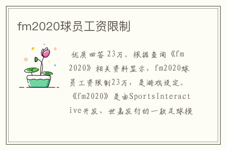 fm2020球员工资限制