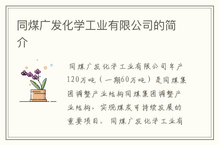 同煤广发化学工业有限公司的简介