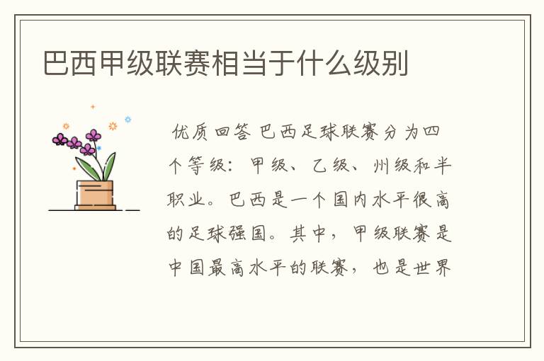 巴西甲级联赛相当于什么级别