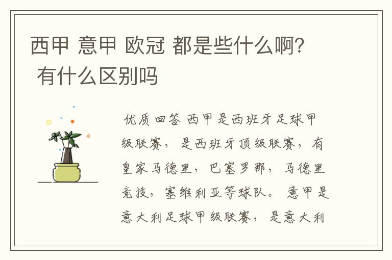 西甲 意甲 欧冠 都是些什么啊？ 有什么区别吗