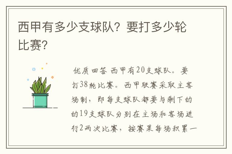 西甲有多少支球队？要打多少轮比赛？