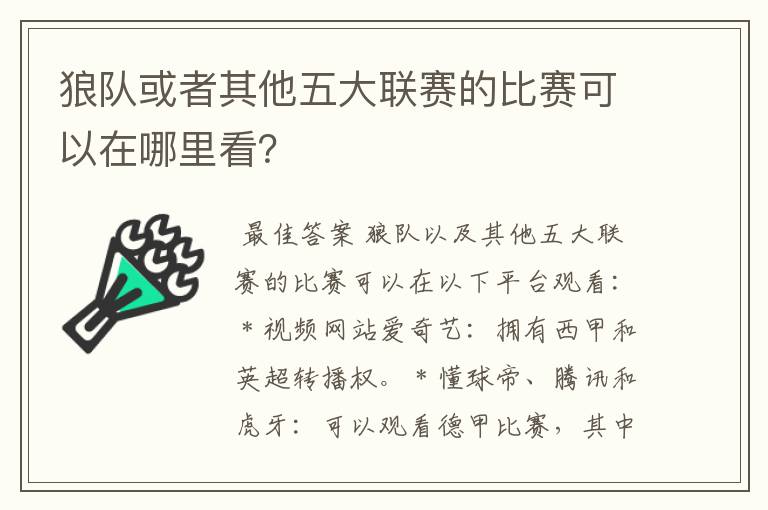 狼队或者其他五大联赛的比赛可以在哪里看？