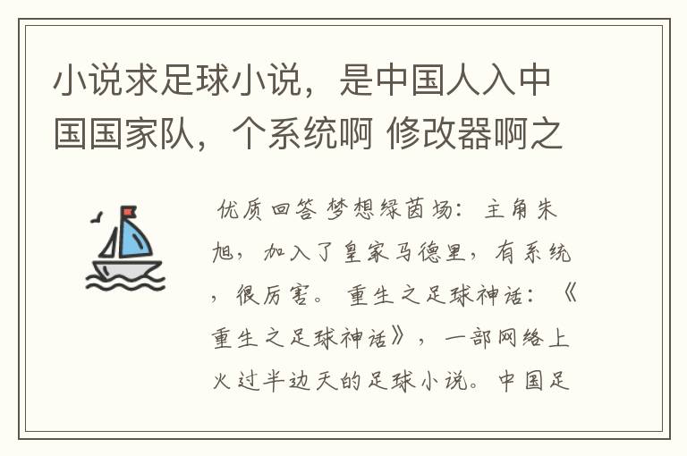 小说求足球小说，是中国人入中国国家队，个系统啊 修改器啊之类的 能发个任务啊什么的