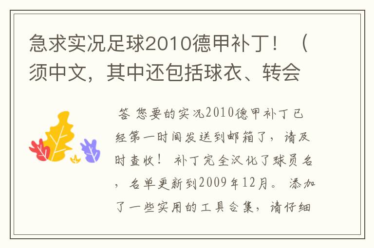 急求实况足球2010德甲补丁！（须中文，其中还包括球衣、转会更新）