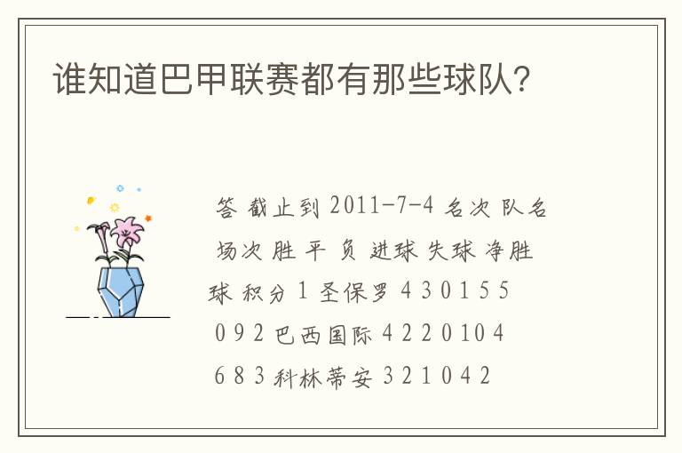 谁知道巴甲联赛都有那些球队？