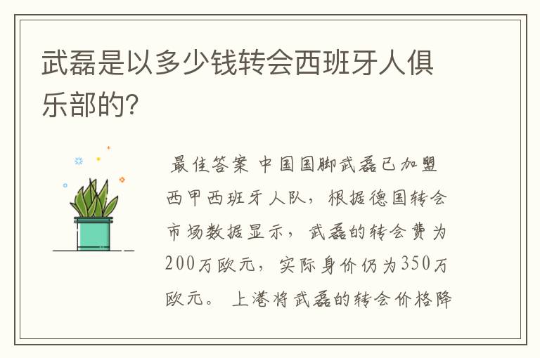 武磊是以多少钱转会西班牙人俱乐部的？