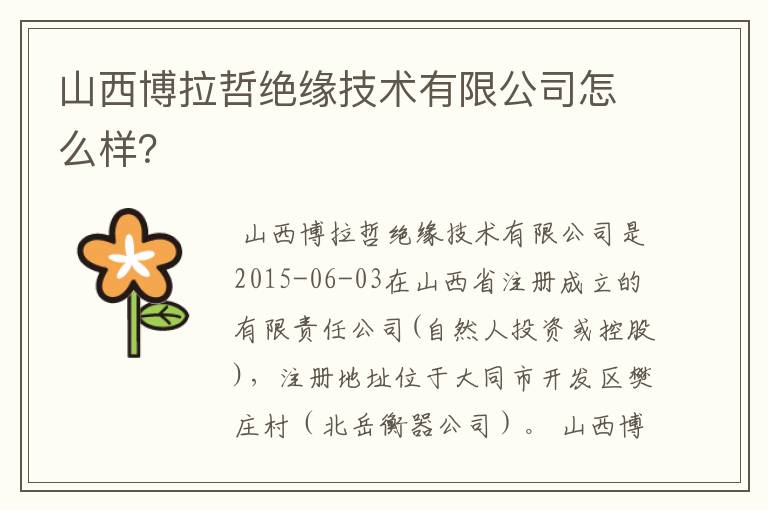 山西博拉哲绝缘技术有限公司怎么样？