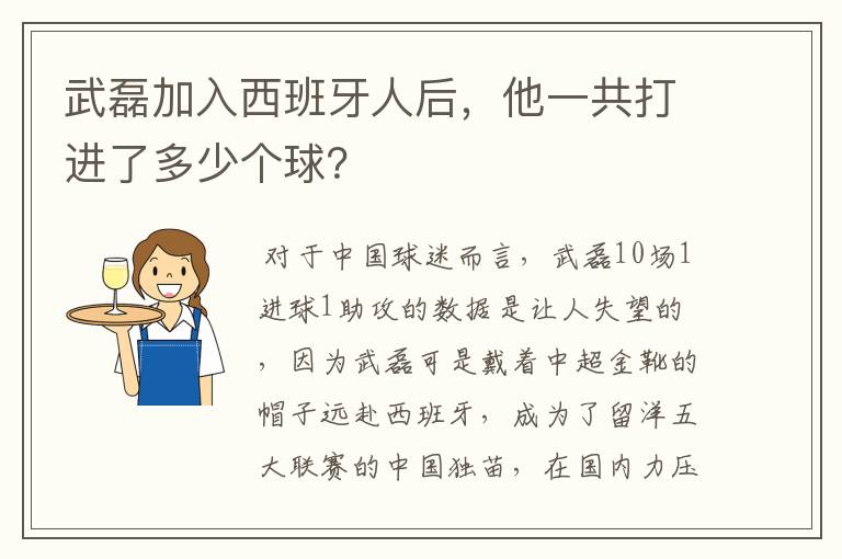 武磊加入西班牙人后，他一共打进了多少个球？