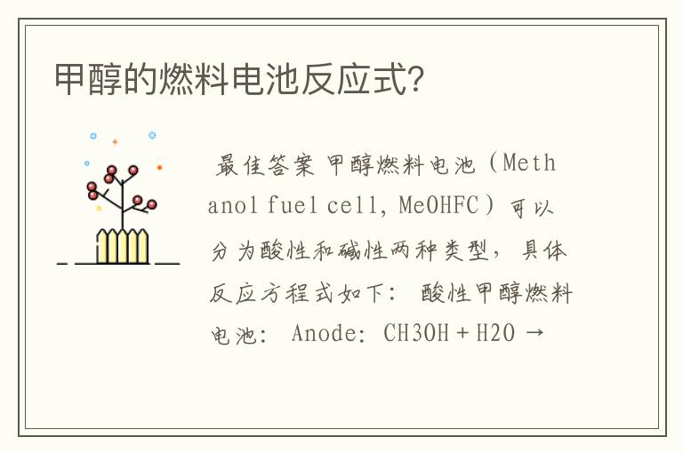 甲醇的燃料电池反应式？