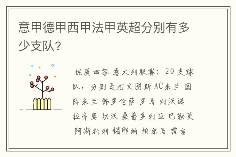 意甲德甲西甲法甲英超分别有多少支队?