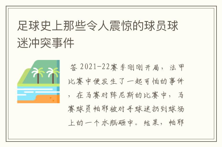 足球史上那些令人震惊的球员球迷冲突事件